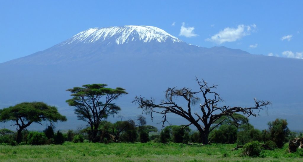 Kilimanjaro